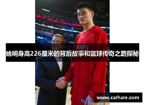 姚明身高226厘米的背后故事和篮球传奇之路探秘