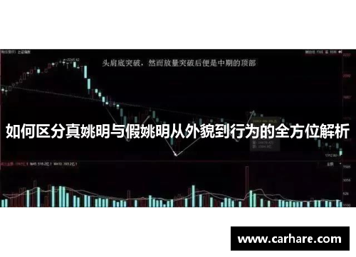 如何区分真姚明与假姚明从外貌到行为的全方位解析