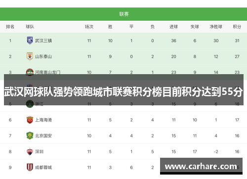 武汉网球队强势领跑城市联赛积分榜目前积分达到55分